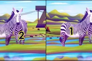 Ambisius atau lempeng? Coba cek kepribadianmu lewat tes gambar ini