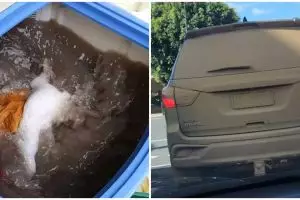 13 Momen apes jadi kotor banget ini bikin geleng kepala lihatnya