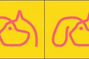 Dari tes gambar ini kamu bisa tahu apa ambisi kariermu di masa depan