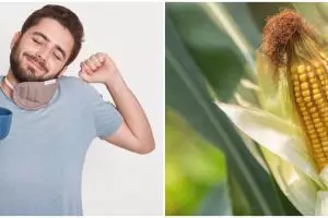 7 Arti mimpi seputar jagung, melambangkan harapan baik
