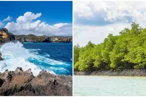 Abrasi adalah pengikisan pantai, ketahui dampak dan penyebabnya