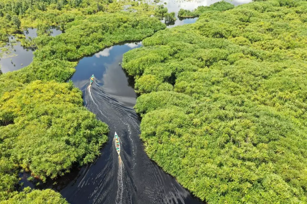 penjabaran tentang ekosistem © berbagai sumber penjabaran tentang ekosistem © berbagai sumber
