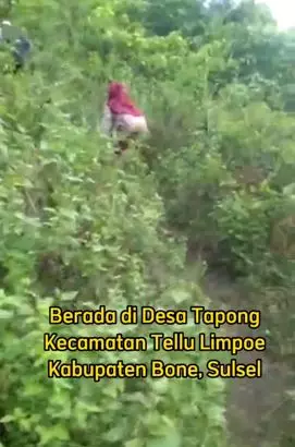 Demi sekolah, dua siswa SD ini jalan kaki lima jam setiap hari TikTok