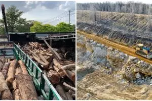 Eksploitasi adalah pemanfaatan untuk keuntungan sendiri, ini dampaknya