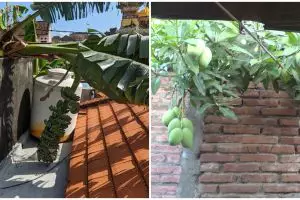 11 Momen lucu rezeki tetangga ini mujur banget, bikin heran deh