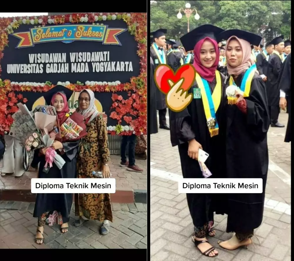 lulusan ugm jualan pisang © TikTok