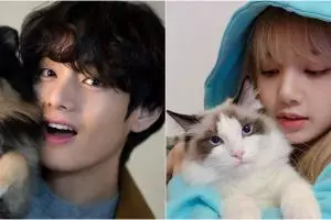 Cat person vs dog person, termasuk golongan kepribadian manakah kamu?