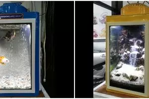 Pemilik ikan hias ubah kaleng kerupuk jadi akuarium, idenya kreatif