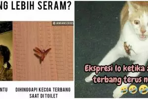 15 Meme kocak saat ketemu kecoak ini bikin nyali auto menciut