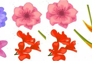  Pilih salah satu bunga ini untuk tahu kekuatan terbesar di hidupmu