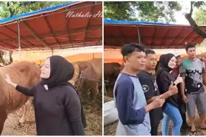 Pertama kali berkurban, ini 11 momen Nathalie Holscher beli sapi