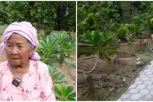 Nenek ini bangun rumah di samping makam suami, kisahnya bikin haru