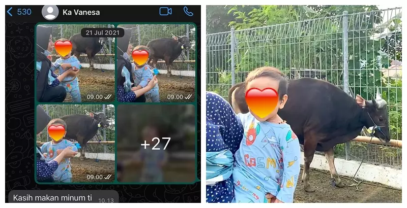 Fuji kurban sapi © Instagram/@fuji_an