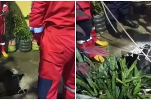 Sapi kurban jatuh ke drainase, momen evakuasinya bikin deg-degan