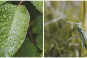 Kondensasi adalah pengembunan, ketahui penyebab dan proses terjadinya