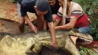 Editan foto hewan kurban Berbagai sumber Editan foto hewan kurban Berbagai sumber