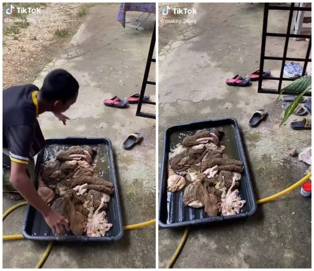 orang cuci jeroan pakai mesin cuci © berbagai sumber