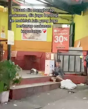 Bocah pemulung ini berbagi makanan dengan kucing liar TikTok
