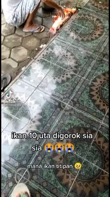 kakek bunuh ikan hias senilai 10 juta © berbagai sumber