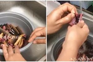 Cara praktis bersihkan & simpan belut, awet hingga 2 bulan tanpa amis