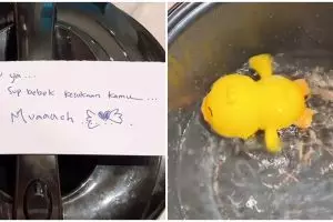 Wanita masak sup bebek buat suami di rice cooker, isinya tak terduga