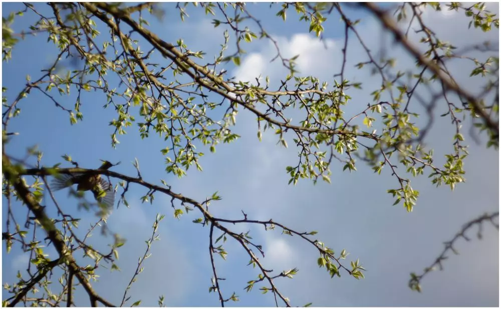 Cara memotret di tengah keterbatasan © berbagai sumber