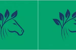 Tes gambar ini ungkap hal pertama yang orang lain lihat darimu