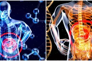 Ekskresi adalah pembuangan hasil metabolisme, pahami organ dan fungsi