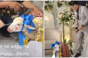 Datang ke nikahan sahabat, tamu undangan ini bawa kado antimainstream