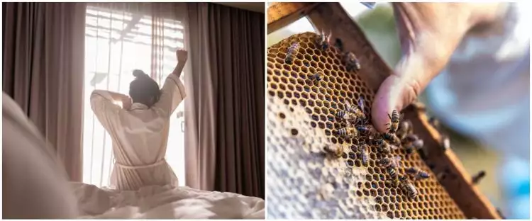 9 Arti mimpi disengat lebah, menggambarkan kondisi perasaan