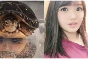 11 Penampakan lucu pantulan cermin ini bikin lihat dua kali