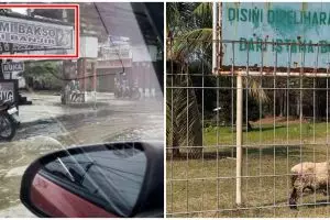 11 Potret lucu spanduk pas sama momennya, bikin dahi mengernyit
