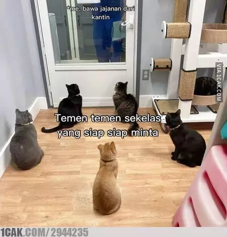 Meme kocak kejadian tak terduga di sekolah Berbagai sumber