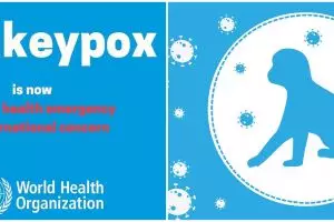 WHO tetapkan wabah cacar monyet sebagai darurat kesehatan global