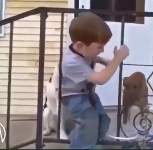 Anak terjepit jeruji besi Berbagai sumber Anak terjepit jeruji besi Berbagai sumber