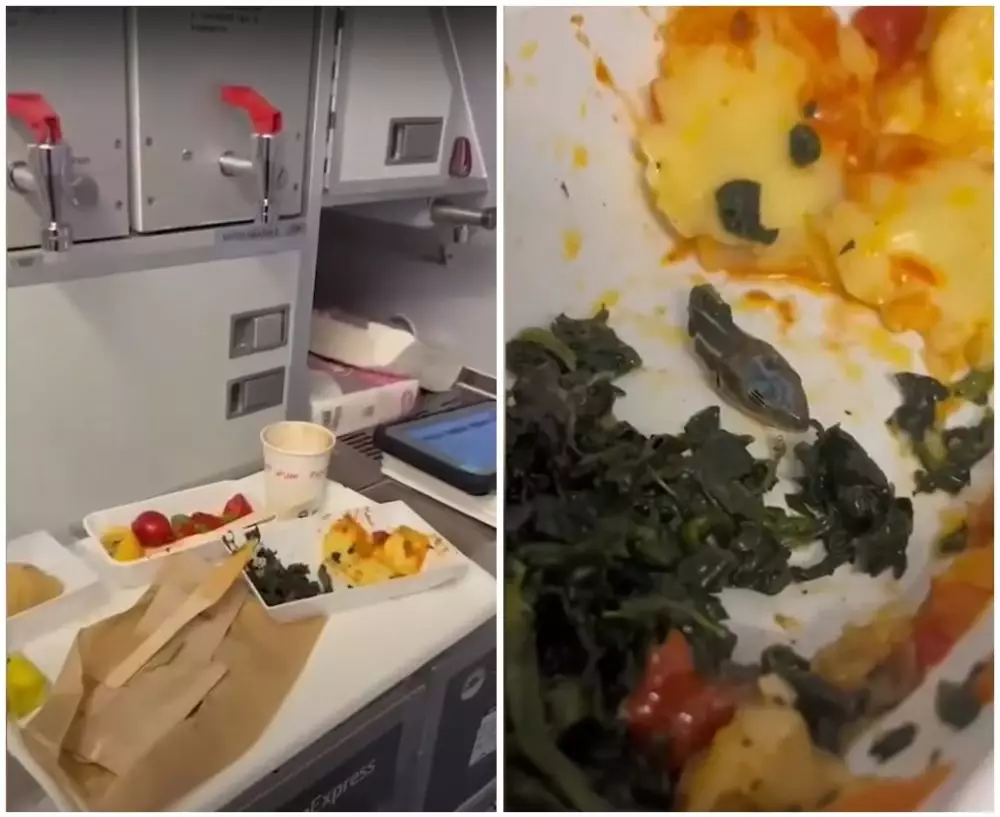 kepala ular di makanan pesawat © berbagai sumber