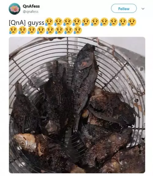 Momen apes memasak sampai gosong Berbagai sumber