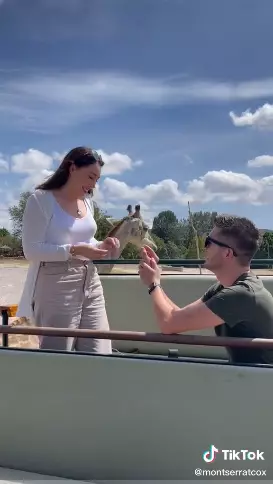 Kisah wanita lagi dilamar malah 'dicium Jerapah' Tiktok Kisah wanita lagi dilamar malah 'dicium Jerapah' Tiktok