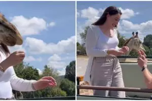 Dilamar di taman safari, wanita ini hampir terjungkal 