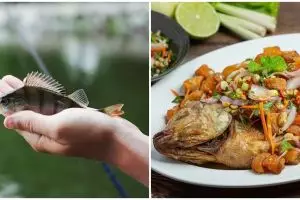 20 Arti mimpi makan ikan, punya makna harus waspada akan hal yang terjadi di masa depan