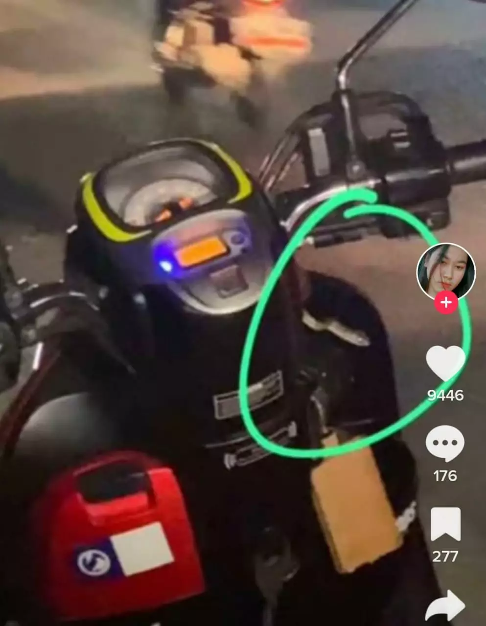 wanita ini temukan ular di motor Tiktok
