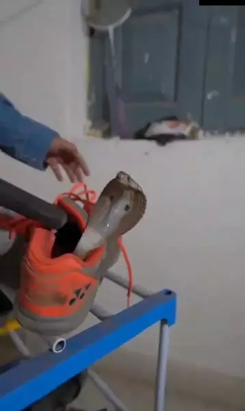 kobra masuk sepatu Berbagai sumber kobra masuk sepatu Berbagai sumber
