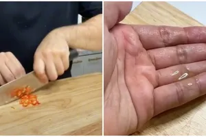Cara mencegah panas di tangan saat memotong cabai, cuma pakai 1 bahan