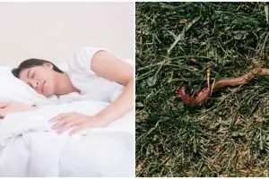 9 Arti mimpi tentang cacing menurut primbon, punya makna khusus