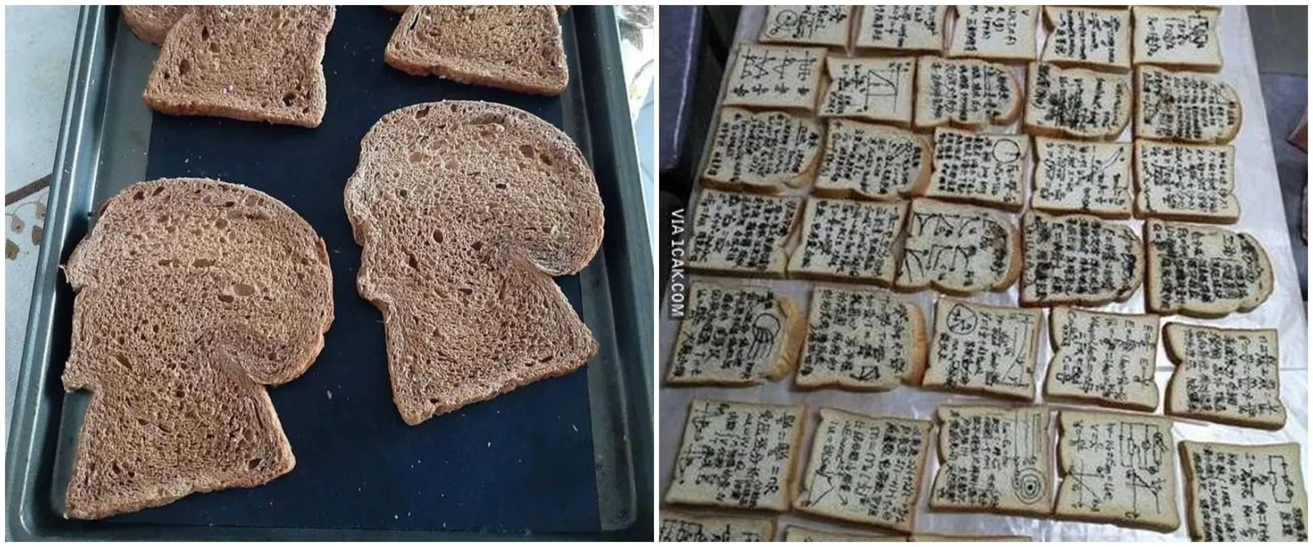 11 Bentuk lucu roti tawar, penampakannya bikin lihat dua kali