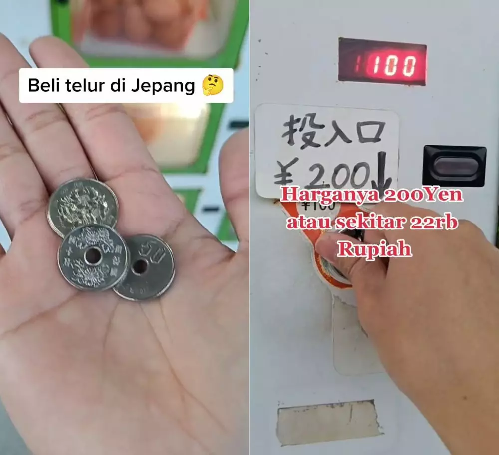 beli telur di mesin koin © berbagai sumber beli telur di mesin koin © berbagai sumber
