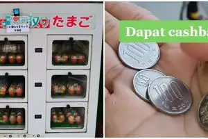 Beli telur di mesin koin, pria ini dapat cashback tak terduga
