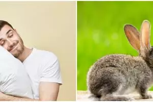 9 Arti mimpi tentang kelinci, simbol kebahagiaan dan keberuntungan