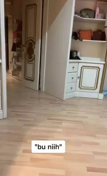 momen wanita dipanggil ibu oleh burung beo Berbagai sumber