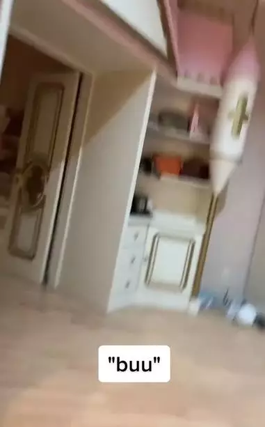 momen wanita dipanggil ibu oleh burung beo Berbagai sumber